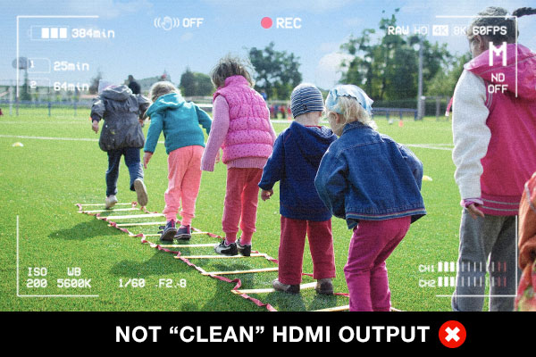 Example of not-clean HDMI output, showing a camera viewfinder-like image that contains onscreen camera status data.